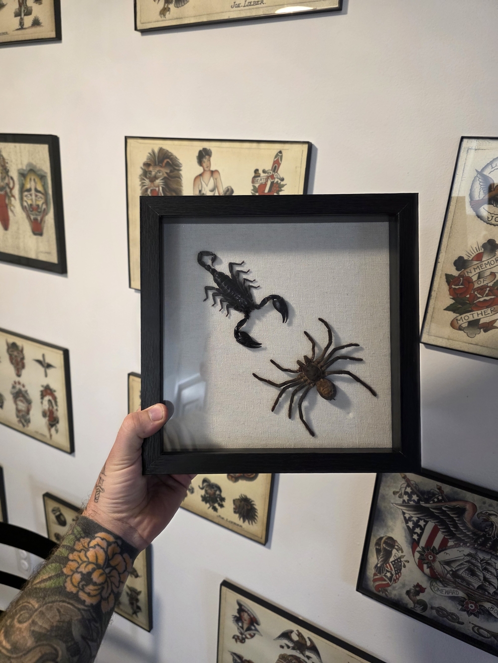 Black Framed Arachnid Wall Art - Neutral Canvas